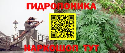 хмурый Краснознаменск